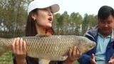 《江湖行》荆州战草 长湖斗鲢鳙搏大草鱼 1112 [视频]