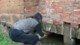 《渔乐生活》土鲶传奇 巴蜀传统钓 20141113 [视频]