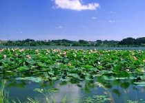 历经沧桑的垂钓圣地八百里水泊东平湖