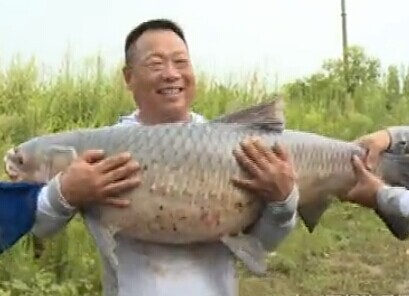 王桂龙钓大鱼圆梦武汉(上) 水库斩80斤巨青鱼 [视频]