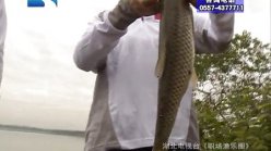 钓鱼天天讲之王桂龙梁子湖钓草鱼和鳊鱼 [视频]