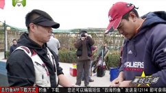 《黑坑江湖》第二季 第18集（京城会战上）[视频]