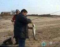 钓友冬钓鸭河水库疯狂路亚翘嘴 [视频]