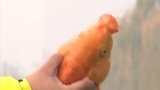 《就这样钓鱼》天津冬钓鲤 讲冬季钓鲤鱼技巧 [视频]