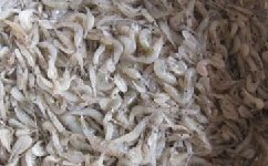 神奇小药鱼饵添加剂虾粉的制作方法 [图文]