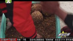 《黑坑江湖》第二季 第21集（上海站下）[视频]