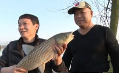 王桂龙再战梁子湖 狂拉大草鱼大鲤鱼 [视频]