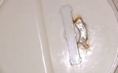 推荐一款自制拉饵盘(附制作过程)