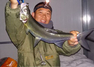 两天一夜钓千岛湖淡竹 渔获给力翘嘴多