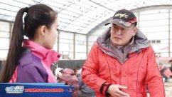 钓技百事通第43期 冬季大棚如何看饵料状态（上）[视频]
