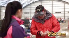 钓技百事通第44期 冬季大棚如何看饵料状态（下）[视频]