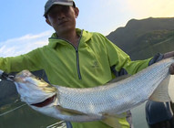 游钓中国第一季07集：欢聚尝新节游钓万峰湖获大翘嘴 [视频]