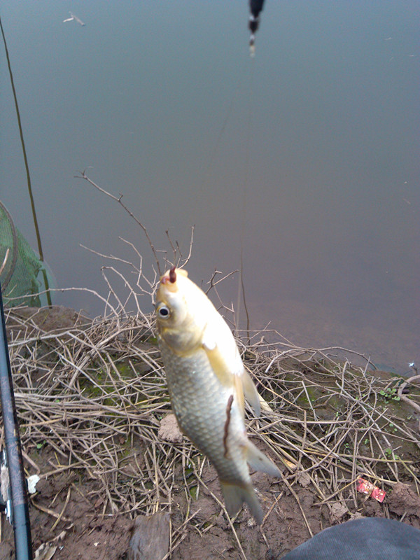 IMG_20150124_100415_副本.jpg