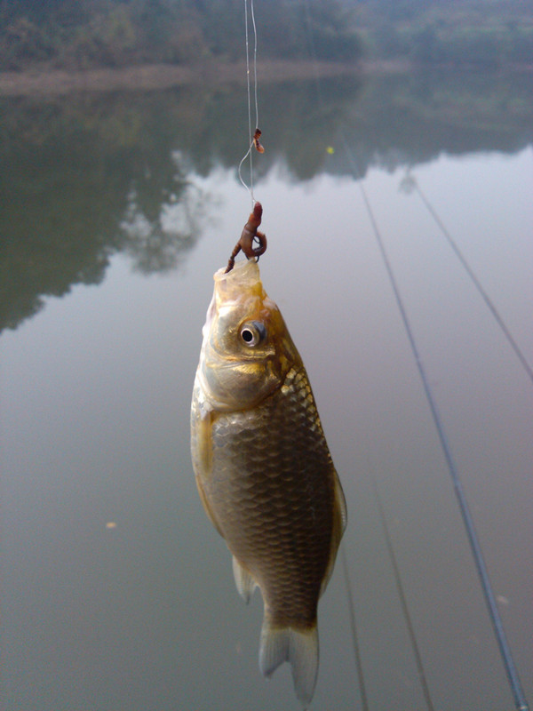 IMG_20150124_113014_副本.jpg