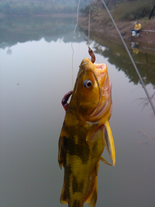 IMG_20150124_115822_副本.jpg