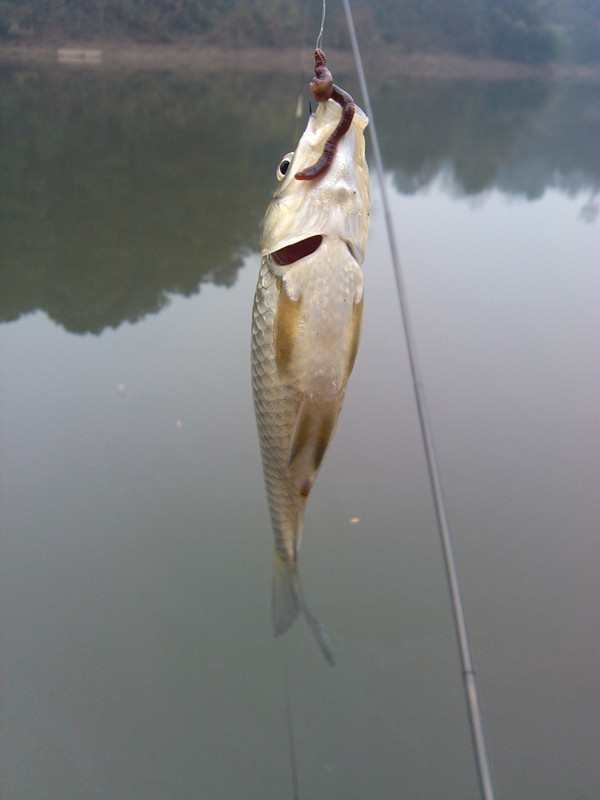 IMG_20150124_154036_副本.jpg