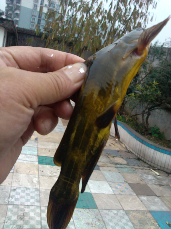 IMG_20150124_175942_副本.jpg