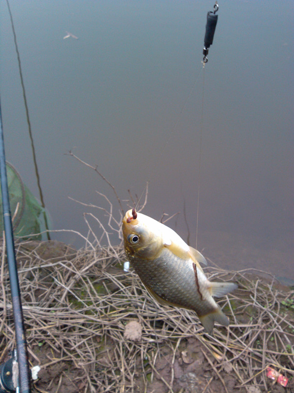 IMG_20150124_100401_副本.jpg
