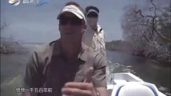 户外生活：熟悉水域（一）飞钓鲢鱼 [视频]