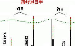 冬季垂钓鲫鱼如何调漂的技巧图解
