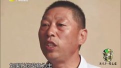 垂钓新思路：库钓打窝和开饵的基本原理 [视频]