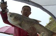 游钓中国第一季13集：李大毛决战升钟湖（下）斩鲢鳙 [视频]