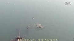 三本先生连云港某野河传统钓鲫鱼 [视频]