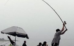钓鱼时不抛满竿的原因解析