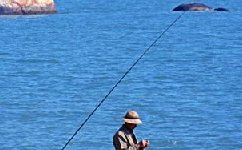 海水的温度和盐分程度对海钓的影响介绍