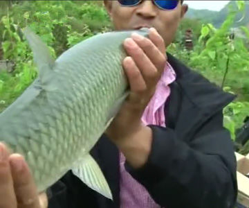 《江湖行》遵义寻草 水库探钓斩获大草鱼 [视频]