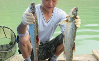 夏季筏钓千岛湖羊里码头 获大翘嘴草鱼爆护