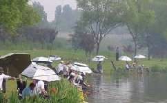 钓鱼高访谈:黑坑的钓位大揭秘