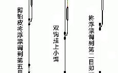 钓草鱼的调漂技巧 [图解]