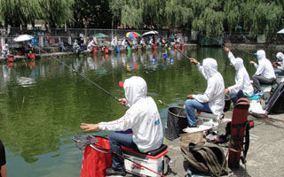 钓谚为您分析夏天不同气候的钓点深浅问题