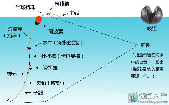 矶钓线组的组成 矶钓线组的组成