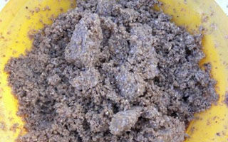 收集钓鱼达人5款实用钓草鱼饵料