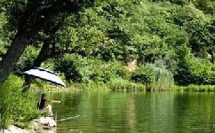 浅谈夏季野钓的技巧(天气、钓组、钓位、钓饵等)