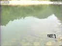 《职场渔乐圈》第048期