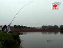 钓鱼王教你水库钓鲢鳙视频