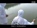 钓鱼大师教你如何钓鲤鱼和草鱼视频