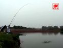 《游钓世界》之老鬼池钓鲢鳙[全集视频]