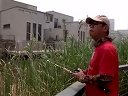 雷强路亚黑鱼2012第5集 人工湿地路黑鱼