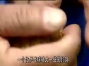钓鱼高手实用大全19之鲢鱼的钓法[视频]