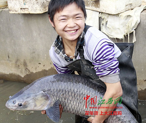53斤大青鱼：幸亏这次走运碰上爱心妈妈[图文]