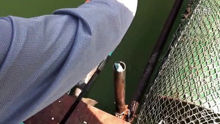 菜鸟万峰湖再次筏钓9斤翘嘴鱼 [视频]