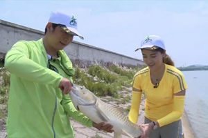 就这样钓鱼：水库打窝秘技诱钓大草鱼 [视频]