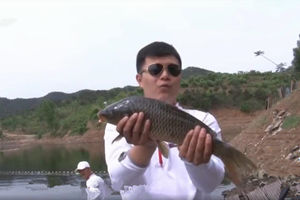 《涉钓英雄传》冀北巨草计重赛 大黑汀水库战草鲤 [视频]