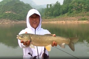 《南水北钓》郑州站（2）九龙庙水库搏草 160624 [视频]