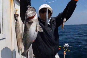 海钓达人的青岛深海船钓黑头三日行 [视频]