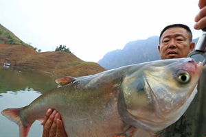 游钓中国第二季第4集 初探牂牁江 六盘水抛竿钓鲢鳙 [视频]